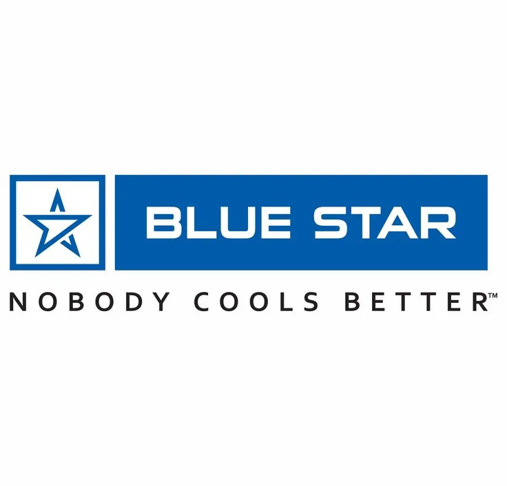 Blue Star Engineering & Electronics Limited